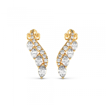 2 ct Diamond Earrings
